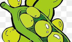 豌豆漫画,趣味横生的日常趣事