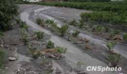 台湾麻豆县,历史悠久的农业重镇与文化旅游胜地